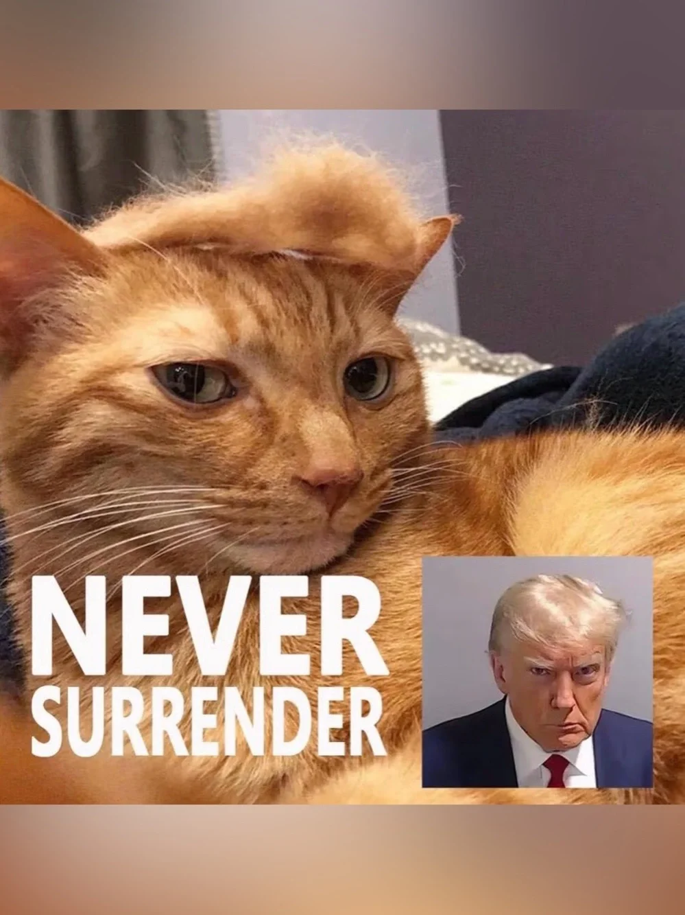 Trump Pet Costume, Wig and Tie, Size Small/Medium